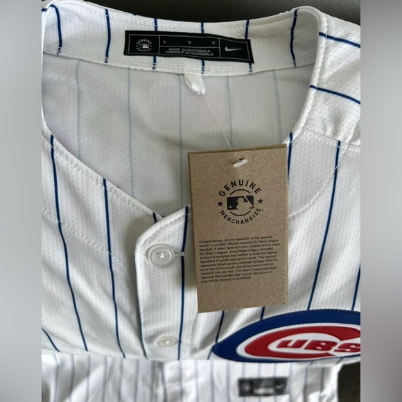 Nike Authentic Pinstripe Chicago Cubs Kyle Tucker #30 MLB Jersey Men’s Sz: L - Picture 5 of 8